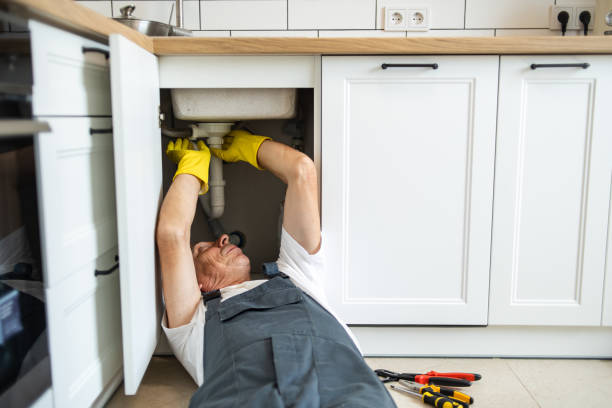 Best Garbage Disposal Repair and Installation  in Home Gardens, CA